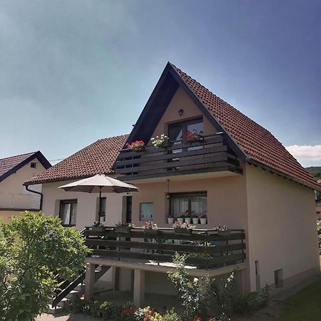Putnicka Kuca Kod Dragane Bajina Basta Exterior foto
