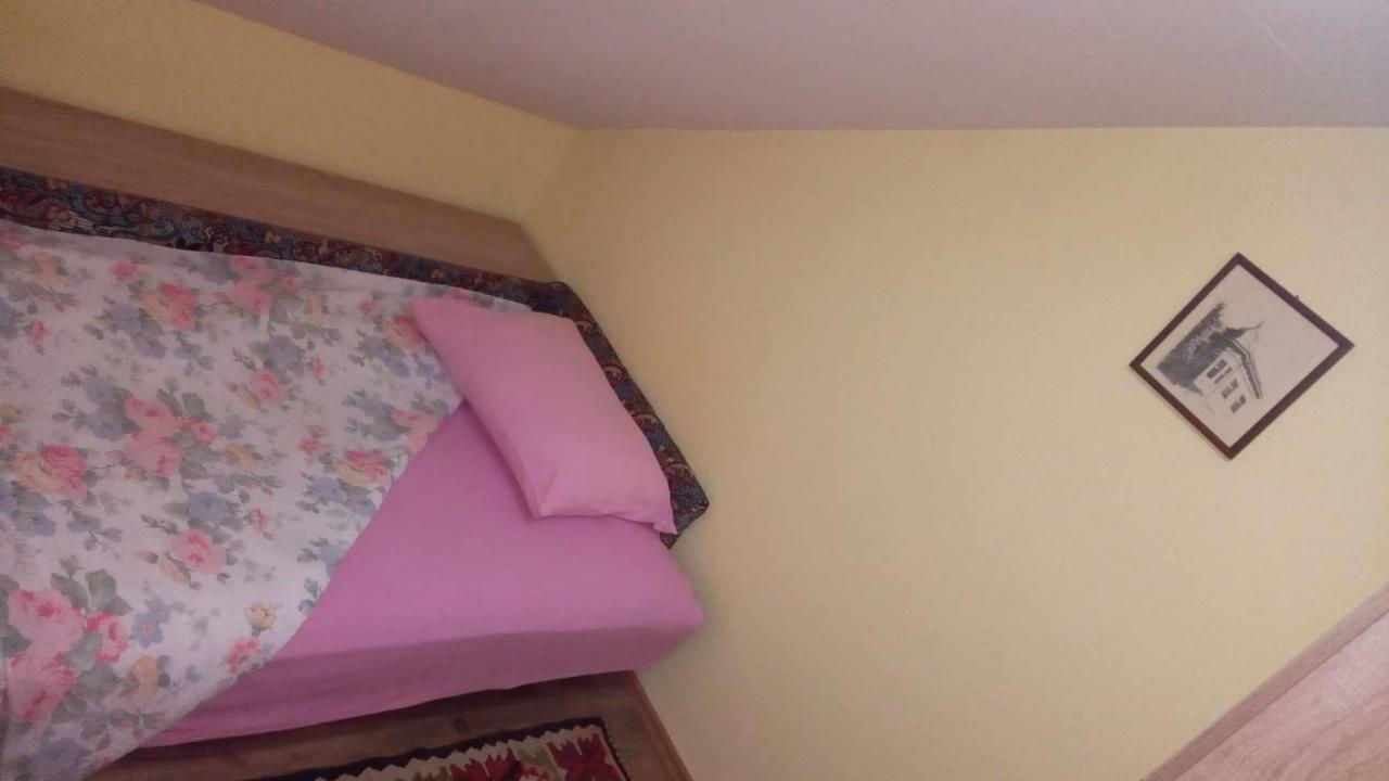 Putnicka Kuca Kod Dragane Bajina Basta Exterior foto